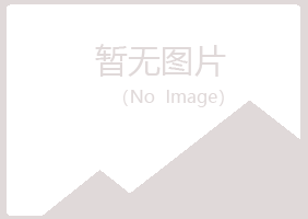 河池匆匆化学有限公司